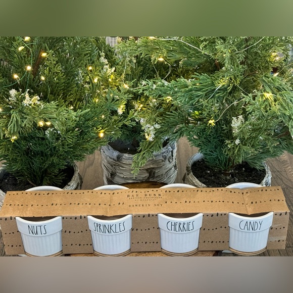 ✨ Brand NEW in Box Rae Dunn Set of 4 Ramekins- NUTS SPRINKLES CHERRIES CANDY ✨ - Picture 8 of 11